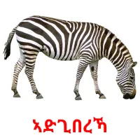 ኣድጊበረኻ billedkort for børn med billeder