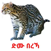 ድሙ በረኻ billedkort for børn med billeder