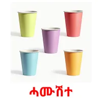 ሓሙሽተ picture flashcards