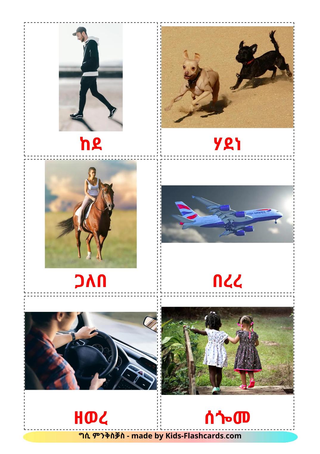 Movement verbs - 20 Free Printable tigrigna(Eritrea) Flashcards 