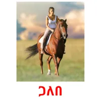 ጋለበ picture flashcards