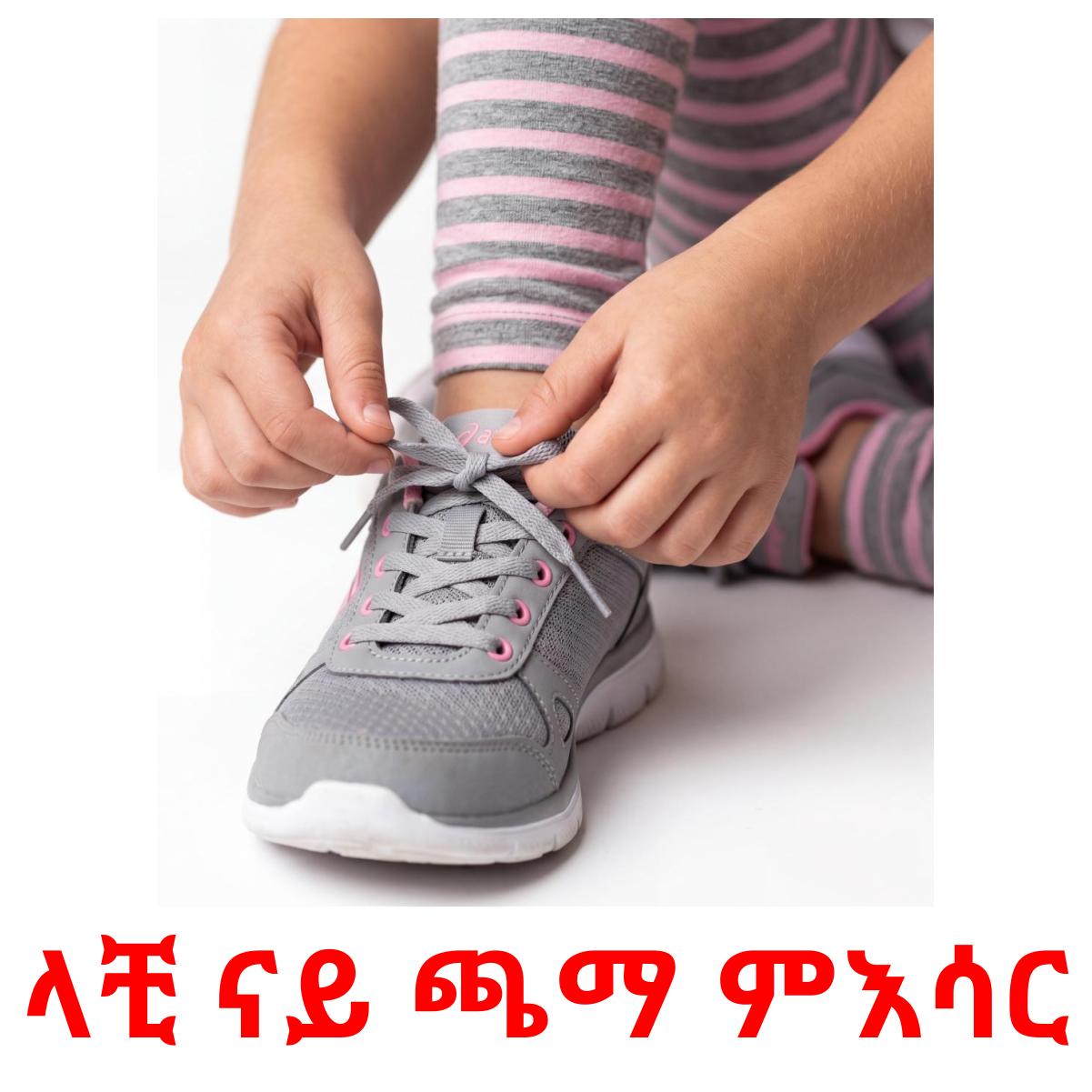 Tigrigna 33 FREE Routine verbs Flashcards | PDF | Tigrigna(Eritrea) Words