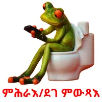 ምሕራእ/ደገ ምውጻእ ansichtkaarten