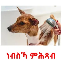 ነብስኻ ምሕጻብ ansichtkaarten