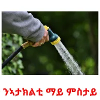 ንኣታክልቲ ማይ ምስታይ ansichtkaarten