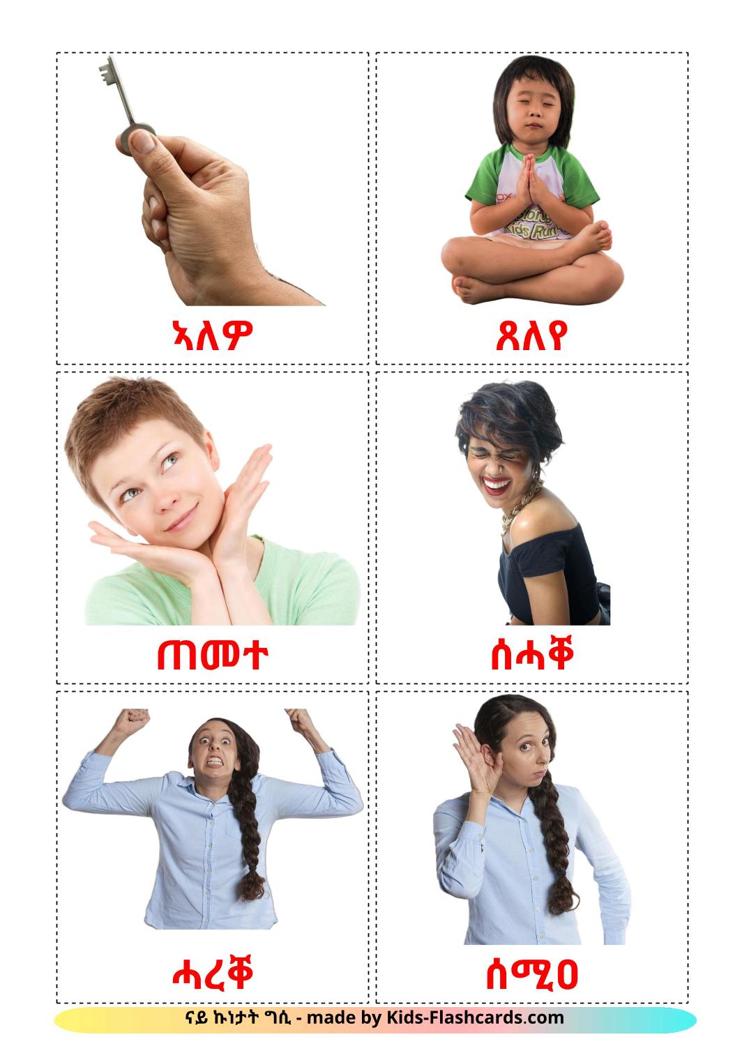 State verbs - 23 Free Printable tigrigna(Eritrea) Flashcards 