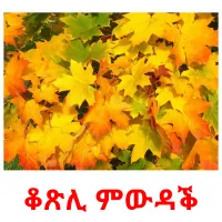 ቆጽሊ ምውዳቕ ansichtkaarten