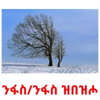 ንፋስ/ንፋስ ዝበዝሖ ansichtkaarten