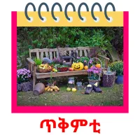 ጥቅምቲ ansichtkaarten