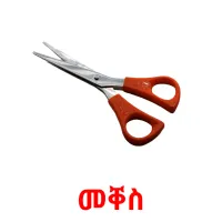 መቐስ flashcards illustrate