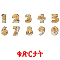 ቁጽርታት flashcards illustrate