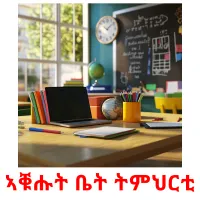 ኣቑሑት ቤት ትምህርቲ flashcards illustrate