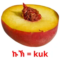 ኩኽ = kuk billedkort for børn med billeder