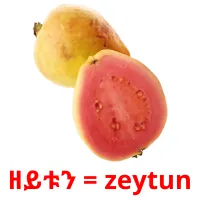 ዘይቱን = zeytun billedkort for børn med billeder