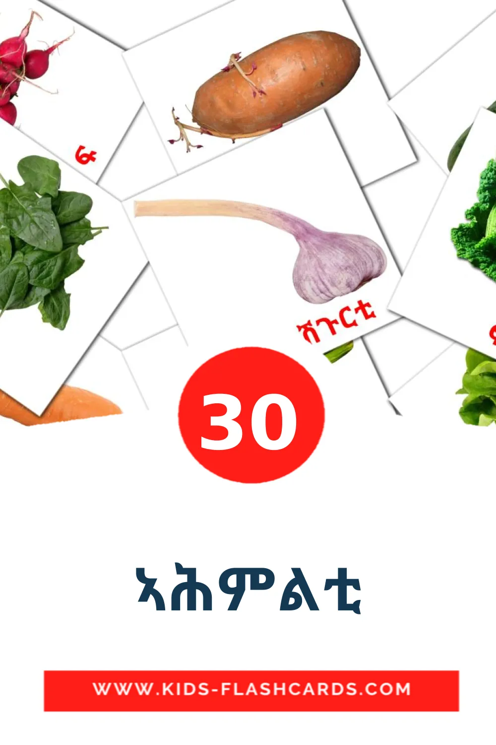30 ኣሕምልቲ Picture Cards for Kindergarden in tigrigna(Eritrea)
