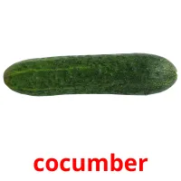 cocumber picture flashcards