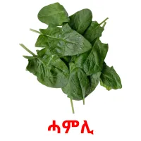 ሓምሊ picture flashcards