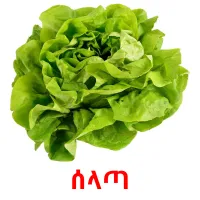 ሰላጣ picture flashcards