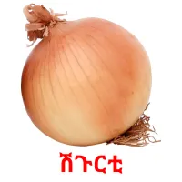 ሽጉርቲ picture flashcards