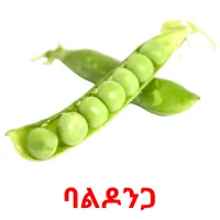 ባልዶንጋ picture flashcards