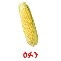 ዕፉን picture flashcards