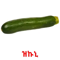 ዝኩኒ picture flashcards