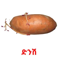 ድንሽ picture flashcards