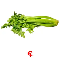 ፍ picture flashcards