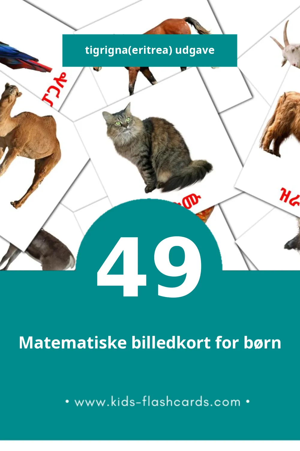 Visuelle billedkort for børn om እንስሳታት til småbørn (49 kort på Tigrigna(eritrea))