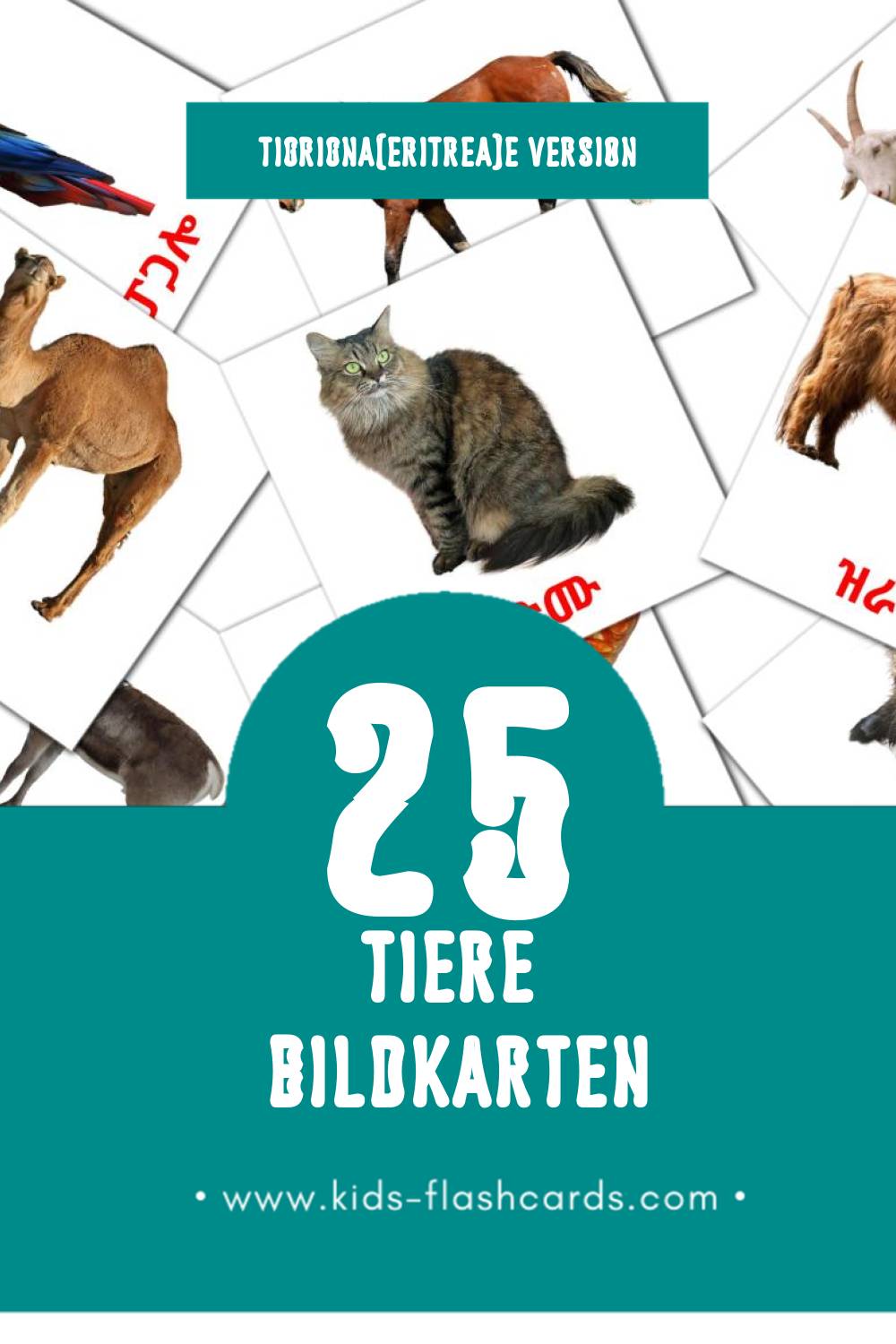 Visual እንስሳታት Flashcards für Kleinkinder (25 Karten in Tigrigna(Eritrea))