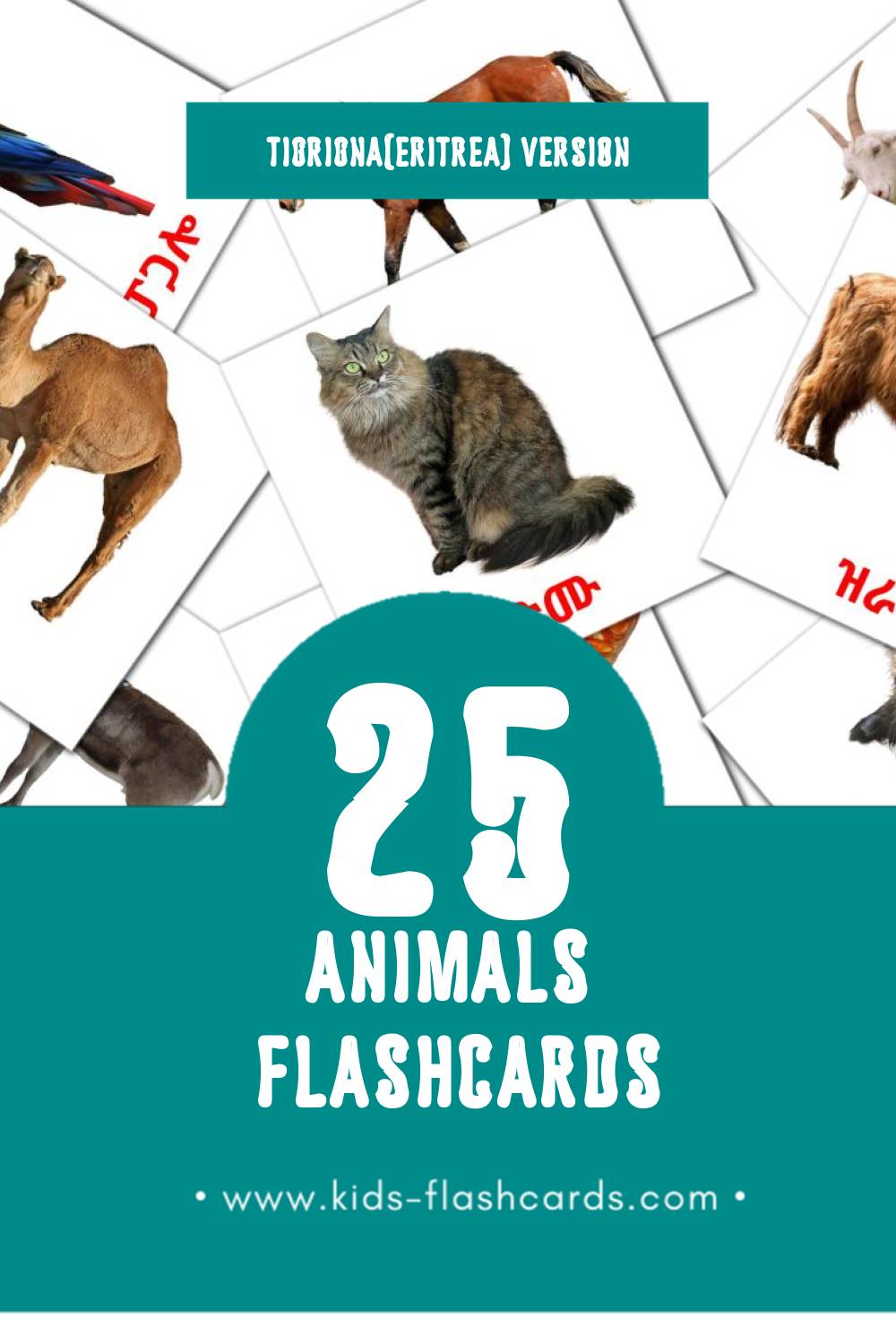 Visual እንስሳታት Flashcards for Toddlers (25 cards in Tigrigna(Eritrea))