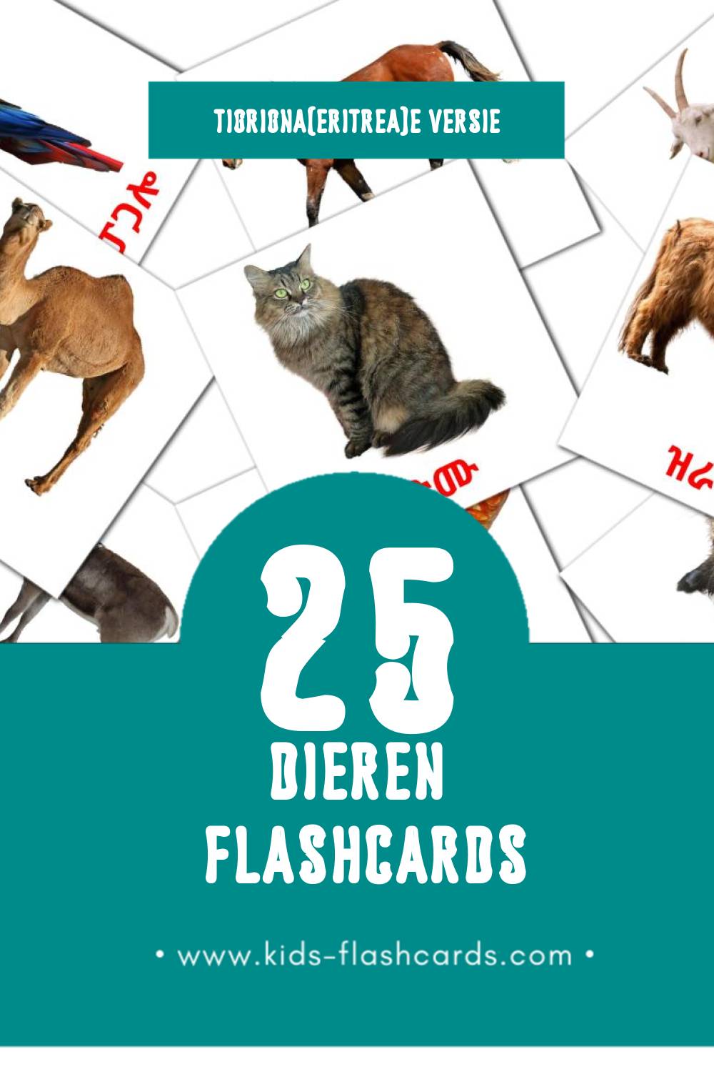 Visuele እንስሳታት Flashcards voor Kleuters (25 kaarten in het Tigrigna(eritrea))