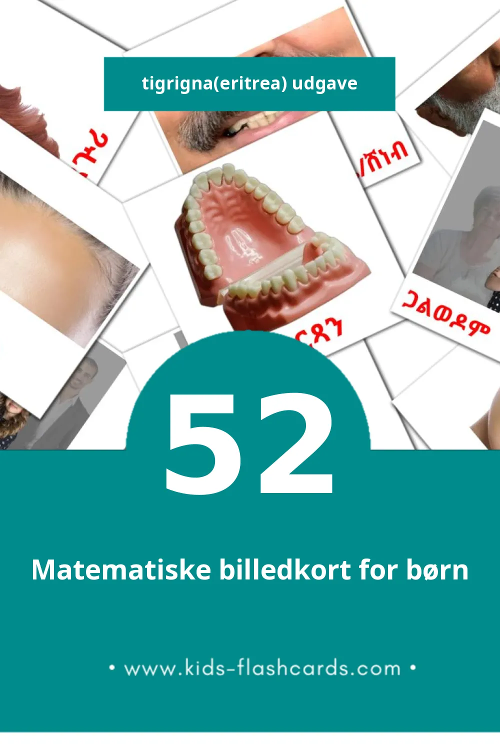 Visuelle billedkort for børn om ሰብ til småbørn (52 kort på Tigrigna(eritrea))