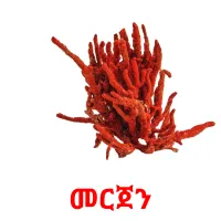 መርጀን picture flashcards