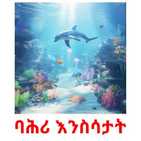 ባሕሪ እንስሳታት picture flashcards
