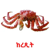 ከረጺት picture flashcards