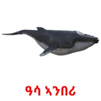 ዓሳ ኣንበሪ picture flashcards