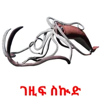 ገዚፍ ስኲድ picture flashcards