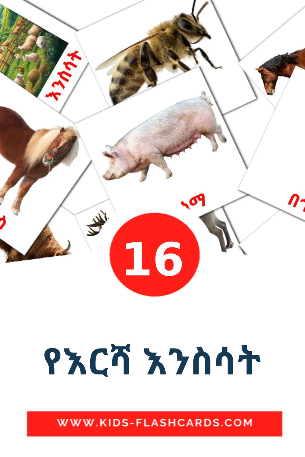 16 የእርሻ እንስሳት fotokaarten voor kleuters in het tigrigna