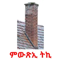 ምውጽኢ ትኪ Bildkarteikarten