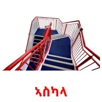 ኣስካላ Bildkarteikarten