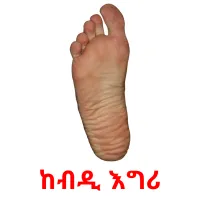 ከብዲ እግሪ карточки энциклопедических знаний