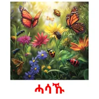 ሓሳኹ Tarjetas didacticas