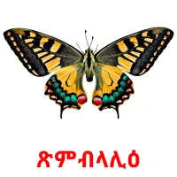ጽምብላሊዕ Tarjetas didacticas
