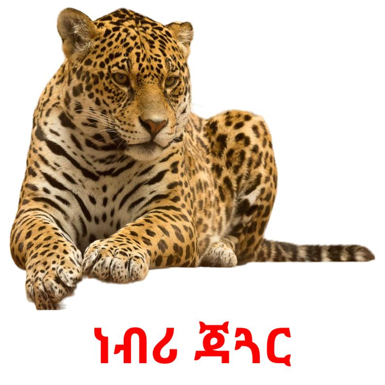 21 Cartões linguagem de Animais da Selva GRÁTIS em 4 formatos PDF