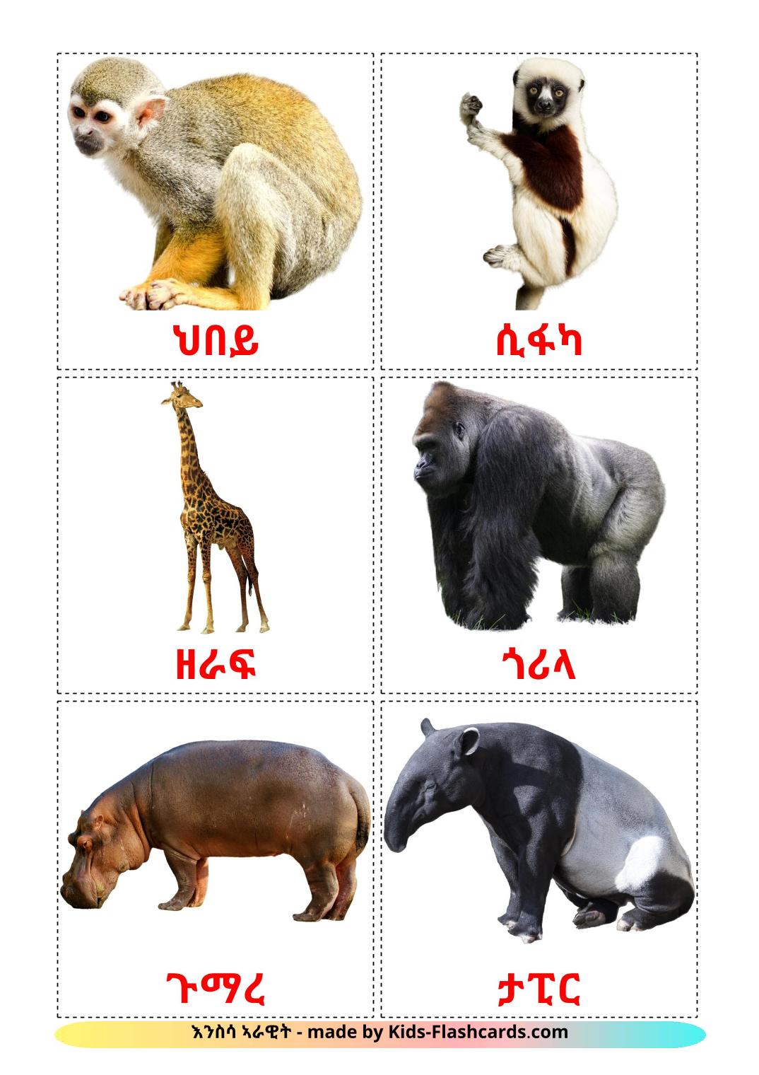 Животные африки - 21 Карточка Домана на тигринья