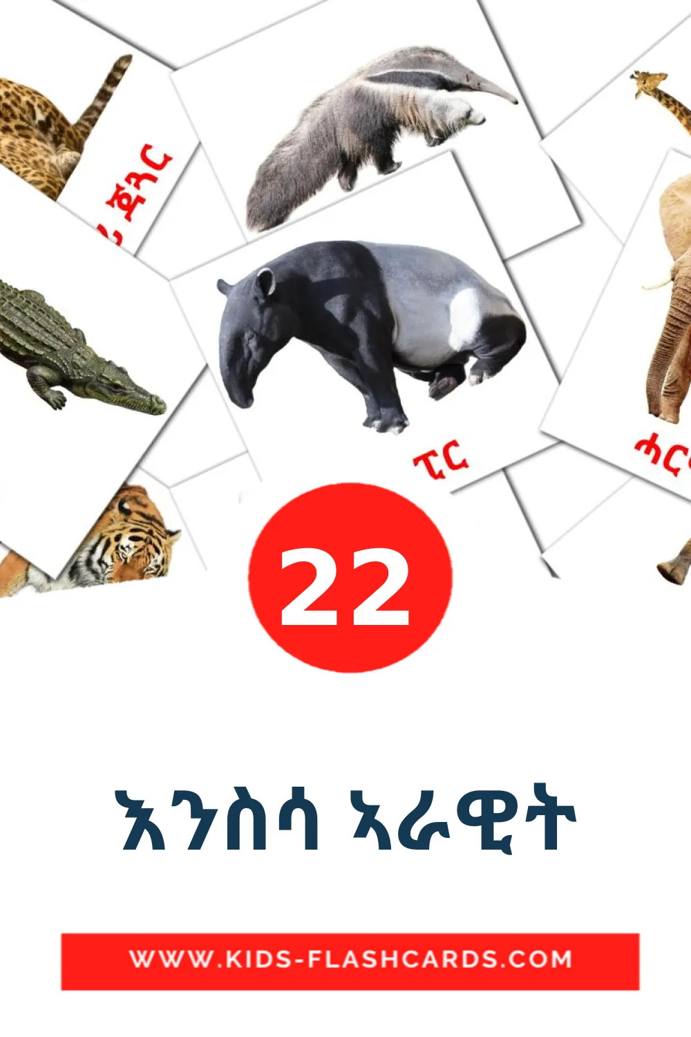 22 cartes illustrées de እንስሳ ኣራዊት pour la maternelle en tigrigna