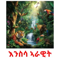 እንስሳ ኣራዊት Bildkarteikarten