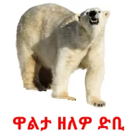 ዋልታ ዘለዎ ድቢ bildekort