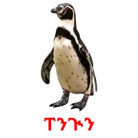 ፐንጒን bildekort